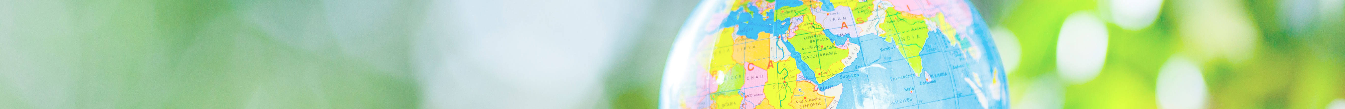 日本がん疫学・分子疫学研究会