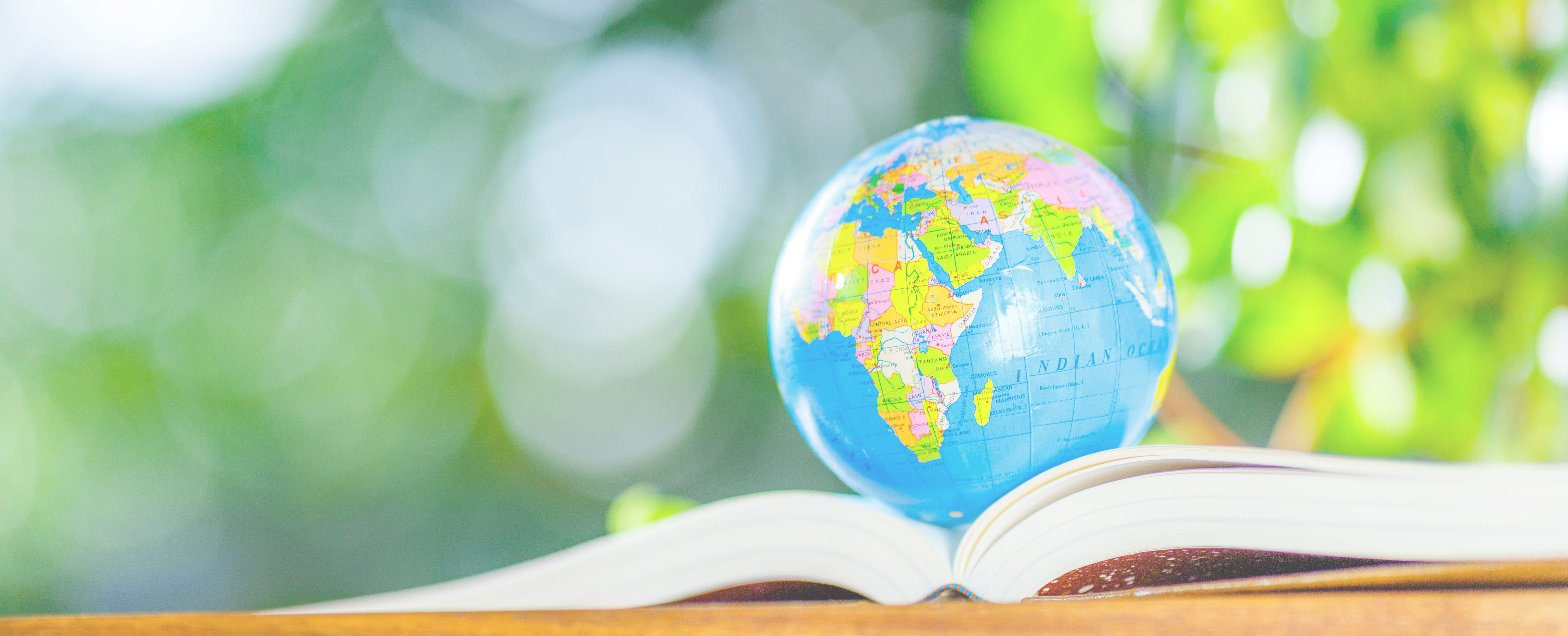 日本がん疫学・分子疫学研究会